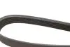 Ремінь генератора Renault Trafic/Master/Laguna/Opel Movano/Vivaro 1.9dCi 01- (5PK1125) BOSCH 1 987 947 927 (фото 3)
