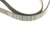 Ремінь генератора VW Golf/Caddy 1.4 04-10/Renault Espace 3.5 02-/Audi A4/A6 2.0TFSI 08-15 (6PK1100) BOSCH 1 987 948 437 (фото 3)