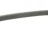 Ремінь генератора Opel Astra J/Corsa D 1.7CDTI 09-15/Ford Focus 1.8TDCi 98-04 (6PK1715) BOSCH 1 987 948 453 (фото 2)