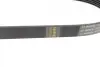 Ремінь генератора VW Polo/Skoda Fabia 1.4/1.9TDI 05-/Nissan Almera/Primera 1.5-1.8 00-08 (6PK820) BOSCH 1 987 948 483 (фото 6)