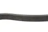 Ремінь генератора Citroen Jumper 1.9TD 94-02 (ALT,PS,AC) DAYCO 6PK1705 (фото 2)