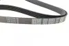 Ремінь генератора MB Vito OM601/602 (AC)/ M111 (PS) DAYCO 6PK2013 (фото 3)
