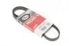 Ремінь генератора Mazda 323 1.3-1.8 89-04/ Mitsubishi Pajero II 3.5 94-99 Gates 4PK1003 (фото 1)