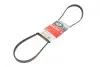 Ремінь генератора Chrysler Neon/Renault Safrane 1.8-3.0 90-04 Gates 4PK1123 (фото 4)