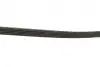 Ремінь генератора Fiat Palio 1.2 97-/Land Rover Freelander 1.8i 98-06 Gates 5PK1193 (фото 3)