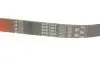 Ремінь генератора VW T5 3.2 V6 03-09 Gates 6PK1263 (фото 4)