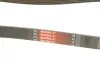 Ремінь генератора VW T5 3.2 V6 03-09 Gates 6PK1263 (фото 5)