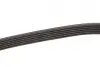 Ремінь генератора BMW 5 (E60)/7 (E65/E66/E67)/X5 (E53) 4.4/4.8 01-09 N62 Gates 6PK1548 (фото 3)