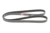 Ремінь генератора Citroen Berlingo/Peugeot Bipper/Partner (6PK1560/1565) 6PK1565