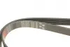 Ремінь генератора Opel Corsa D 1.7CDTI 06-11/Ford Fiesta 1.8DI 00-03 Gates 6PK1613 (фото 4)