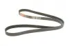 Ремінь генератора Opel Astra J/K/Insignia A/B/Ford Escort/Fiesta 1.4/1.6/1.6CDTI 90- Gates 6PK1633 (фото 2)
