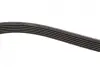 Ремінь генератора Audi A8 3.0i 03-06/Lexus GS/IS 3.0/3.5 00-11/Ford Fiesta 1.25-1.6 94-02 Gates 6PK1928 (фото 3)