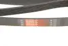 Ремінь генератора Infiniti FX/M45/Lexus GS/Mitsubishi Outlander 1.8-4.5 93- Gates 6PK1938 (фото 5)