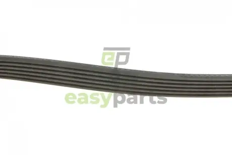 Ремінь генератора MB Sprinter 2.9TDI (-AC)/MB Vito (W638) 96- Gates 6PK2083