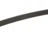 Ремінь генератора VW T4 2.5TDI 92-03 Gates 6PK2128 (фото 3)