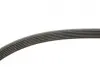 Ремінь генератора MB C-class (W202)/E-class (W211) 2.2CDI/2.7CDI 98-09 Gates 6PK2253 (фото 2)