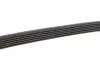 Ремінь генератора Audi A4/A5/A6 3.0 TDI/3.2 FSI 05-/MB E-class (W124/S124) 2.8-3.0T 93-96 M104/M103 Gates 6PK2413 (фото 2)