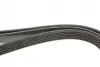 Ремінь генератора Audi A4/A6/A8/Q7 2.7/3.0TDI/VW Touareg 3.0TDI 04-18 Gates 6PK2490 (фото 3)
