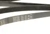Ремінь генератора Audi A4/A6/A8/Q7 2.7/3.0TDI/VW Touareg 3.0TDI 04-18 Gates 6PK2490 (фото 5)