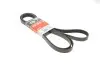 Ремінь генератора Jeep Grand Cherokee II 2.7 CRD 01-05 Gates 6PK2603 (фото 1)