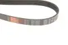 Ремінь генератора Jeep Grand Cherokee II 2.7 CRD 01-05 Gates 6PK2603 (фото 4)