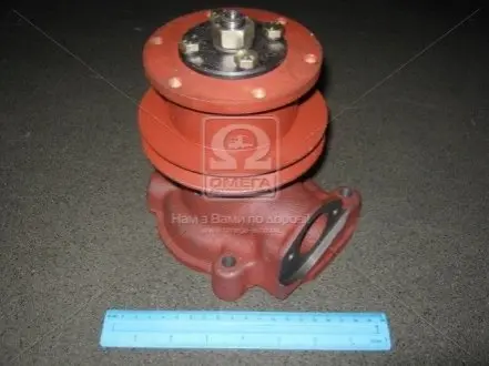 Насос водяной Д 240, Д 243 БЗА 240-1307010-А
