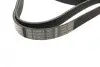 Ремінь генератора поліклиновий VW Golf/BMW/Ford/Opel (6PK1540) BOSCH 1 987 946 099 (фото 2)