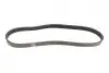 Ремінь генератора VW Caddy/Golf/Skoda Octavia 1.6/2.0 04-15/Fiat Ducato 2.5TDI 94-02/Scudo 1.6 96-06 BOSCH 1 987 947 936 (фото 5)