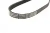 Ремінь генератора VW Caddy/Golf/Skoda Octavia 1.6/2.0 04-15/Fiat Ducato 2.5TDI 94-02/Scudo 1.6 96-06 BOSCH 1 987 947 936 (фото 2)