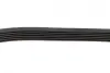 Ремінь генератора VW Caddy/Golf/Skoda Octavia 1.6/2.0 04-15/Fiat Ducato 2.5TDI 94-02/Scudo 1.6 96-06 BOSCH 1 987 947 936 (фото 4)