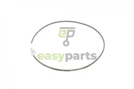 Ремінь генератора VW Golf III/IV/Passat/Polo -01 Contitech 2PJ800