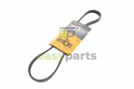 Ремінь генератора BMW 5 (E60/E61) 4.0-4.8i (N62) 03-10 (4PK844) Contitech 4PK844ELAST