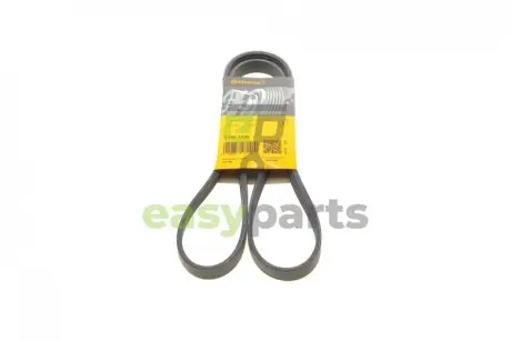 Пасок поліклиновий Contitech 5PK1330