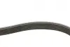 Ремiнь клиновий Ford Mondeo I/II 1.8TD 93-00 Contitech 5PK585 (фото 1)