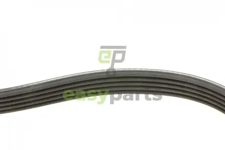 Ремiнь клиновий Ford Mondeo I/II 1.8TD 93-00 Contitech 5PK585
