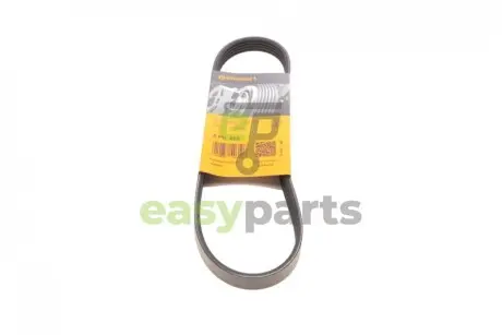 Ремінь генератора Subaru Forester 2.0 08-13/Impreza 1.6/2.0 92-07/Legacy 1.8-2.5 89-14/Outback 12- Contitech 5PK690