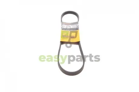 Ремінь генератора Ford Fiesta 1.8 DI 95-02/Toyota Rav4 2.0D 4WD 01-05 Contitech 5PK884