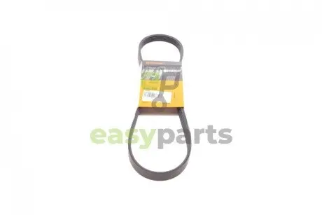 Ремінь генератора BMW 3 (E36)/5 (E34/E39) 2.0/2.5i 90-00/Ford Focus 2.5 05-12/Volvo C30/C70 04-13 Contitech 5PK890