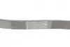 Ремінь генератора Ford Focus/Fiesta/Fusion 1.25-1.6 99-12/Mazda 2 1.25-1.6 03-07 Contitech 6PK1042ELAST (фото 1)