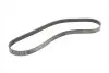 Ремінь генератора Ford Focus 1.8/2.0 04-12 (6PK1249) Contitech 6PK1249ELAST (фото 1)