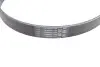 Ремiнь клиновий Fiat Bravo/Grande Punto/Punto 1.6/1.9/2.0 D 08-14 Contitech 6PK1374 (фото 8)