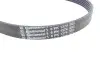 Ремiнь клиновий Fiat Bravo/Grande Punto/Punto 1.6/1.9/2.0 D 08-14 Contitech 6PK1374 (фото 9)