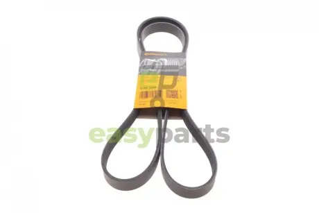 Ремінь генератора Skoda Fabia/VW Passat B6/B7 09-14/Citroen Berlingo/Peugeot 98-/BMW/Chevrolet 11- Contitech 6PK1698