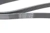 Ремінь генератора Audi A4/A6 2.4 97-05/Jeep Cherokee 2.5 86-90 Contitech 6PK1856 (фото 3)