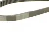 Ремінь генератора Infiniti FX/M45/Lexus GS/Mitsubishi Outlander 1.8-4.5 93- Contitech 6PK1940 (фото 3)