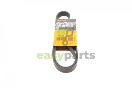 Ремінь генератора BMW 3 (E90) 2.0i 07-13/Opel Movano/Renault Master 2.2/2.5DTI/dCi 00- Contitech 7PK1104