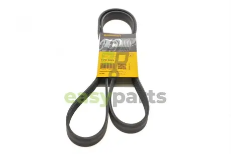 Ремінь генератора BMW 5 (E39/G30/F90)/7 (E38/F01/F02/F03/F04) 3.5-6.0 96- Contitech 7PK1629