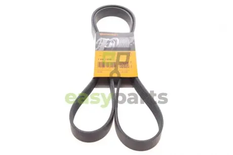 Пасок поліклиновий 7PK1705 Contitech 7PK1715