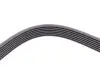 Ремінь генератора Kia Sorento 2.5 CRDI 06-/Land Rover Discovery/Range Rover 88-04 Contitech 7PK2255 (фото 1)