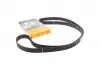 Ремінь ГРМ Subaru Forester/Impreza/Legacy 1.5/2.0/2.5i 92- (30x281z) CT1058
